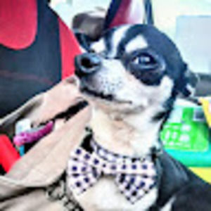 Meet your Posher, Erica dawn